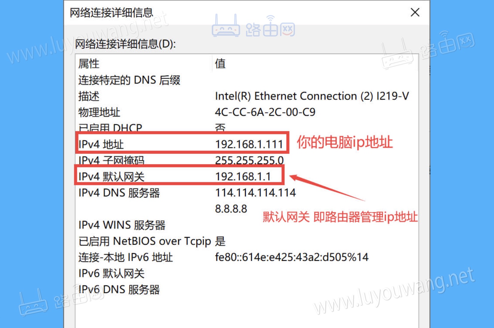 2023南滨路-旅游攻略-门票-地址-问答-游记点评，重庆旅游旅游景点推荐-去哪儿攻略