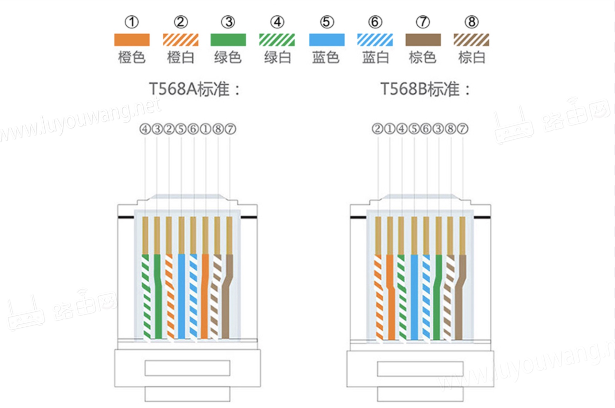 网线水晶头排线 简单图片