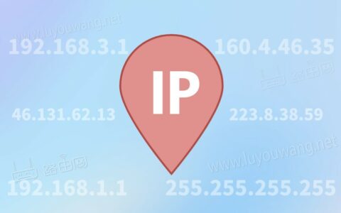 什么是IP地址？常见IP地址详解