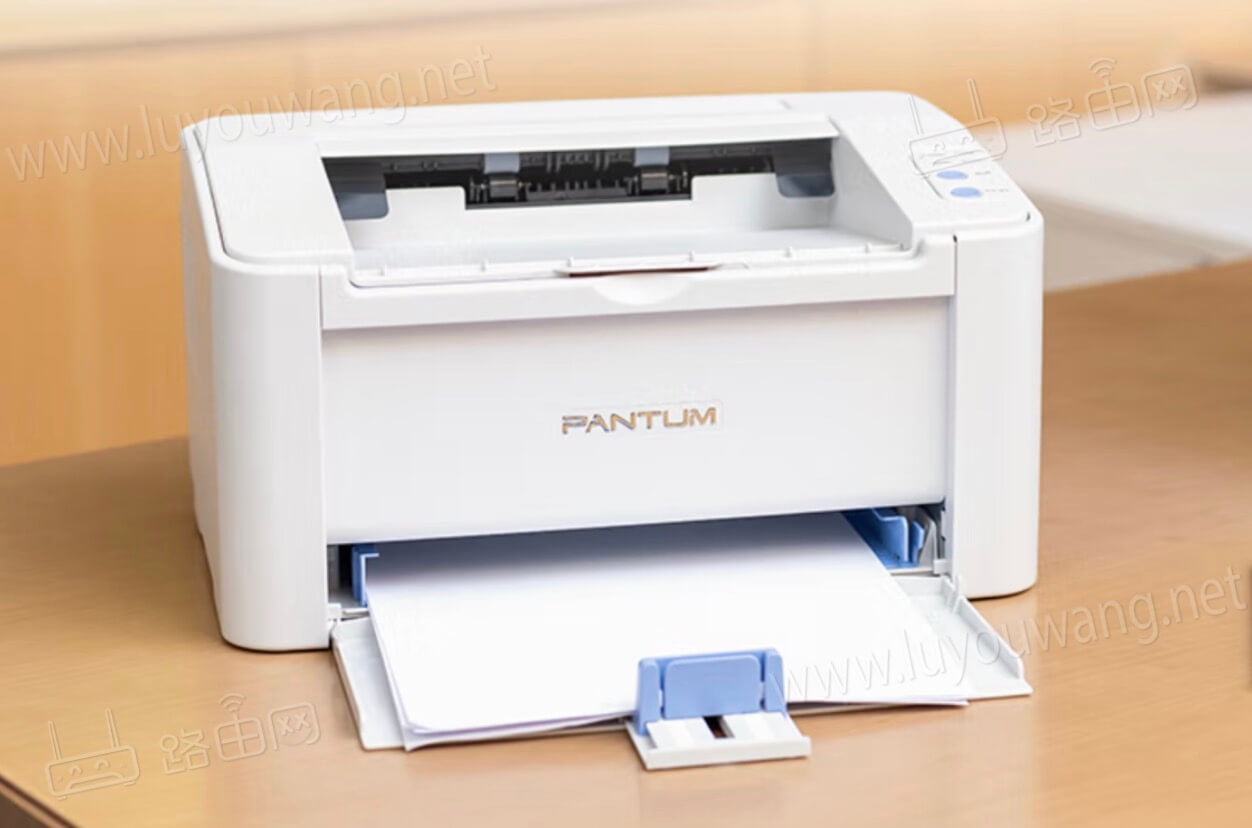 奔图(PANTUM)打印机修改IP地址教程-图片1