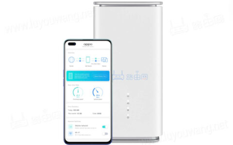OPPO路由器的管理地址跟登录密码是多少？