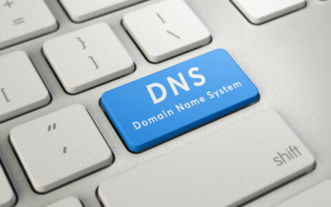 纯净的公共DNS推荐（支持DoH与DoT）